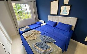 Apartamento A 200M Da Praia Ingleses, Predio Com Piscina